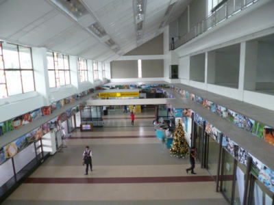 バコドロシライ空港の全景